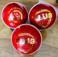 Cricket Leather Ball 4 piece - Club